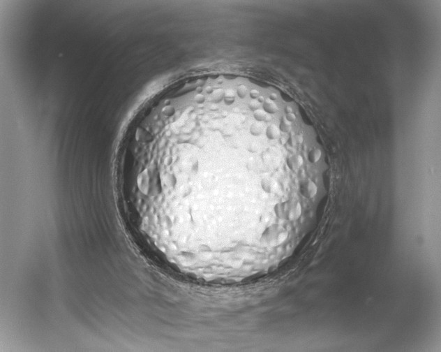 X0000056350006200509161814