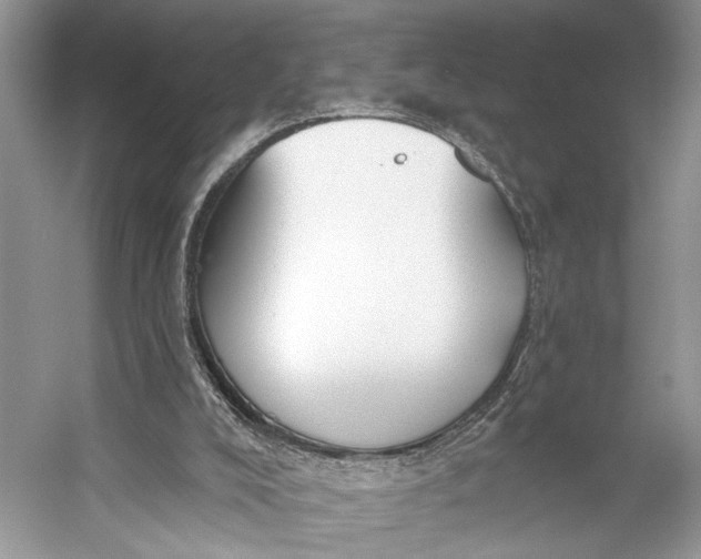 X0000056350008200509161814