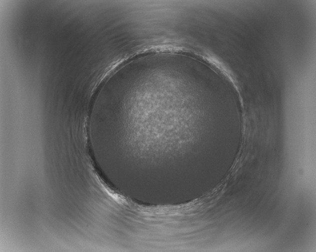 X0000056350009200509161814