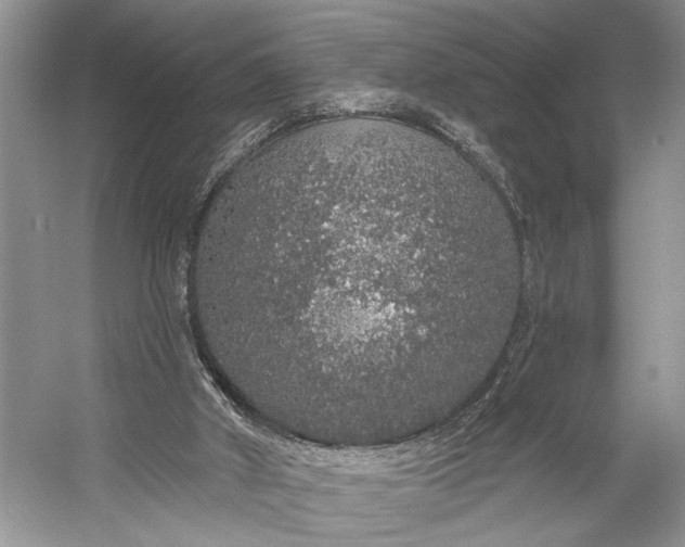 X0000056350010200509161814