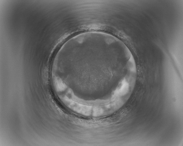 X0000056350012200509161814