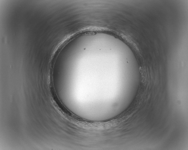 X0000056350015200509161814