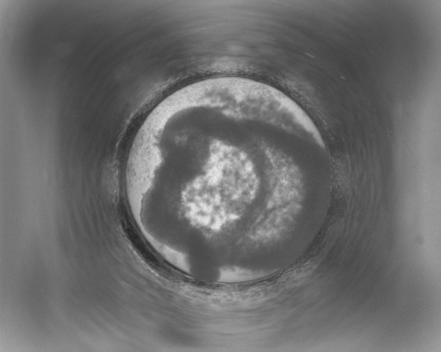 X0000056350016200509161814