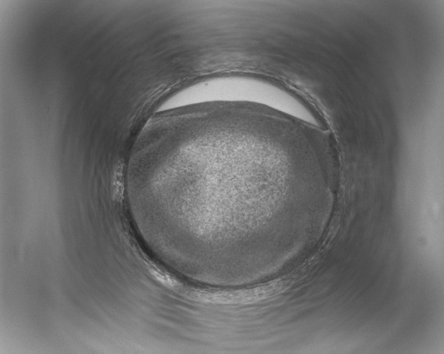 X0000056350017200509161814