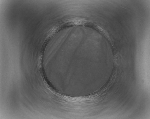 X0000056350018200509161814