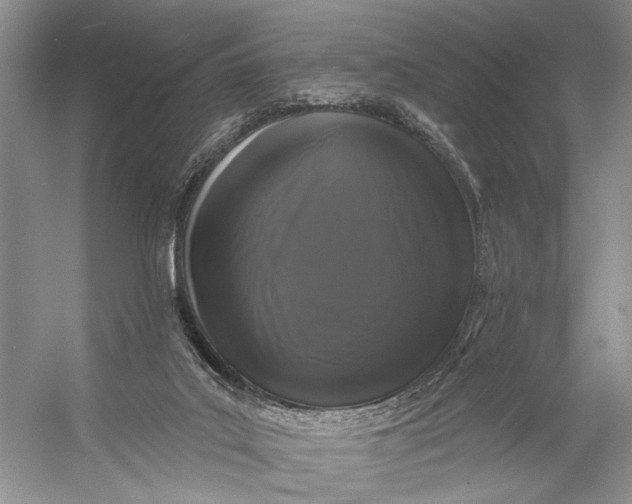 X0000056350019200509161814