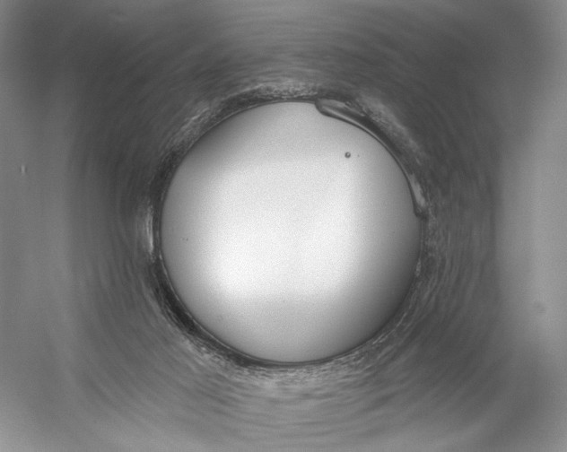 X0000056350021200509161814