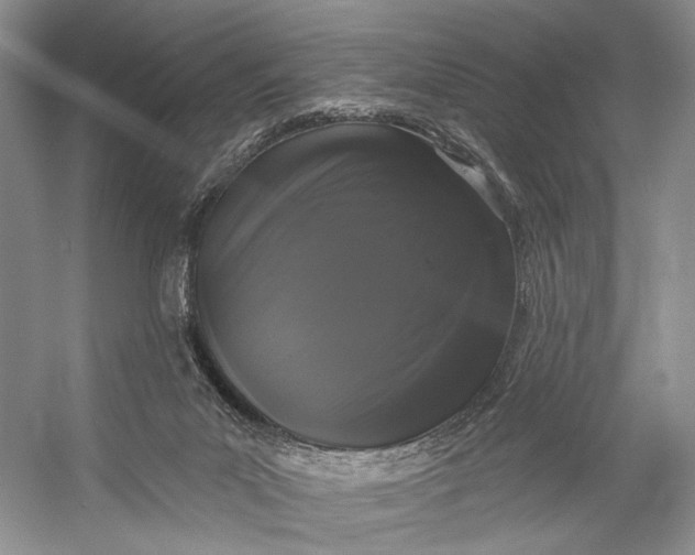 X0000056350023200509161814