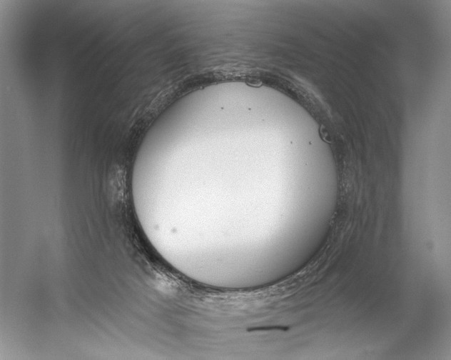 X0000056350025200509161814