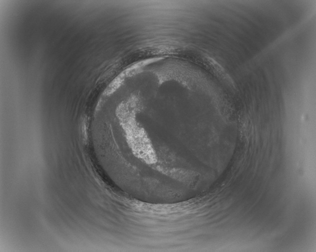 X0000056350026200509161814