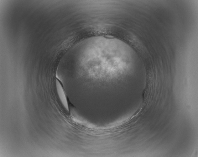 X0000056350029200509161813