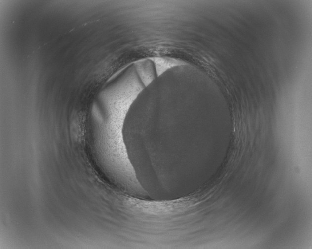 X0000056350030200509161813