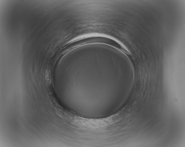 X0000056350031200509161813