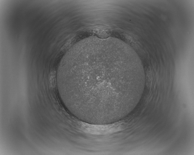 X0000056350034200509161813