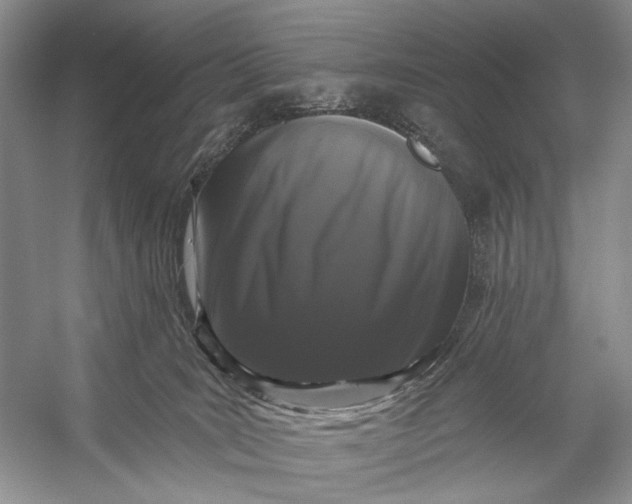 X0000056350035200509161813