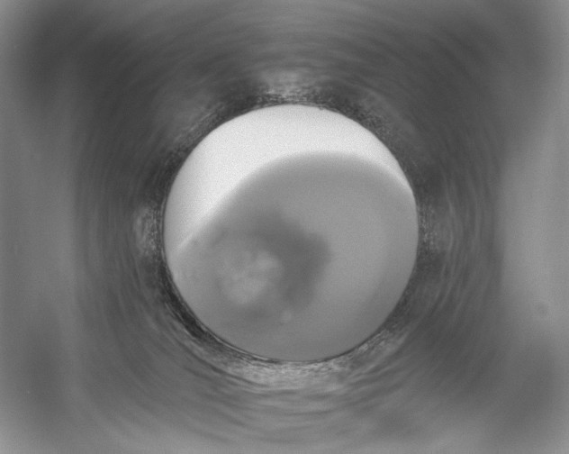 X0000056350036200509161813