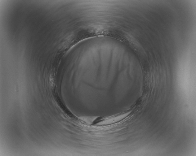 X0000056350039200509161813