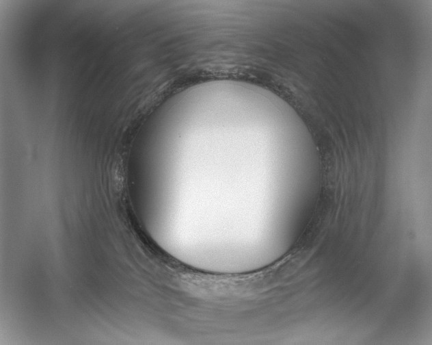 X0000056350040200509161813