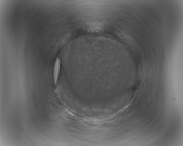 X0000056350041200509161813