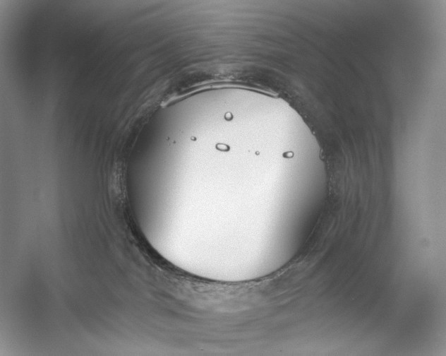 X0000056350044200509161813