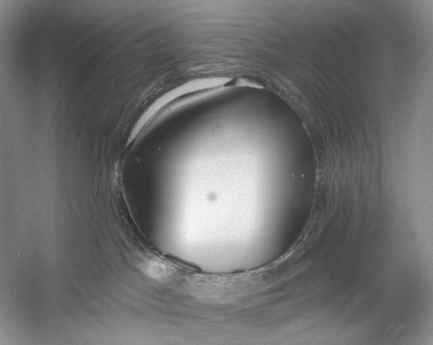 X0000056350045200509161813