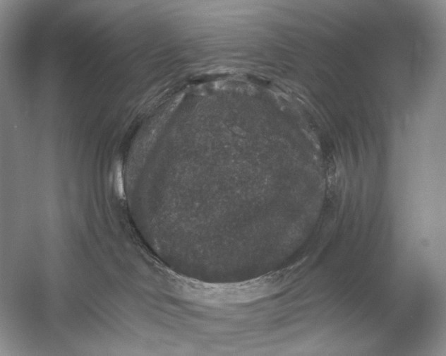 X0000056350046200509161813