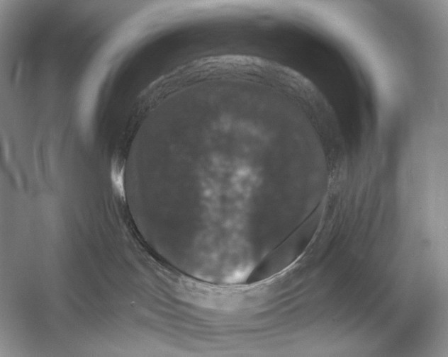 X0000056350047200509161813