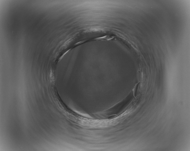 X0000056350048200509161813