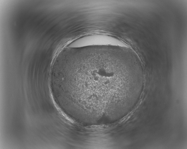 X0000056350049200509161812