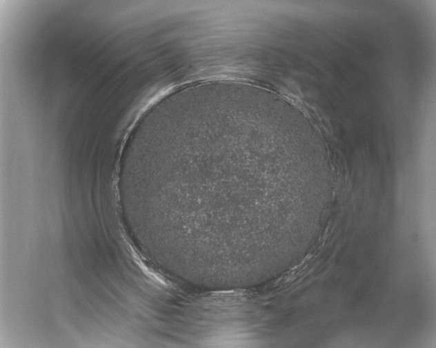 X0000056350050200509161812