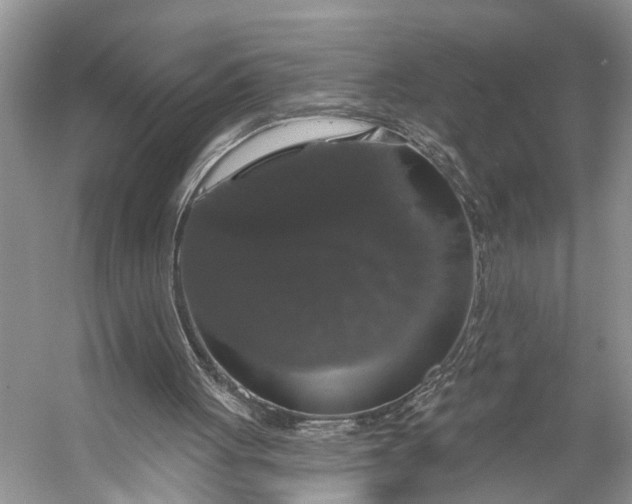 X0000056350051200509161812