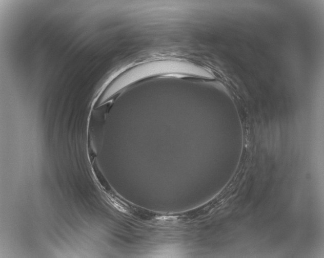 X0000056350052200509161812