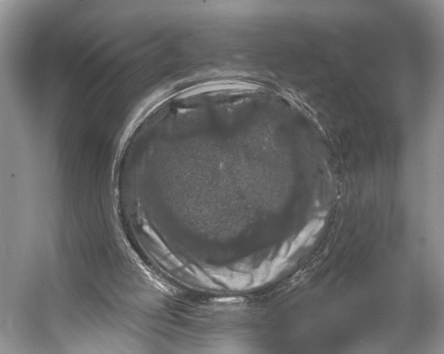 X0000056350053200509161812