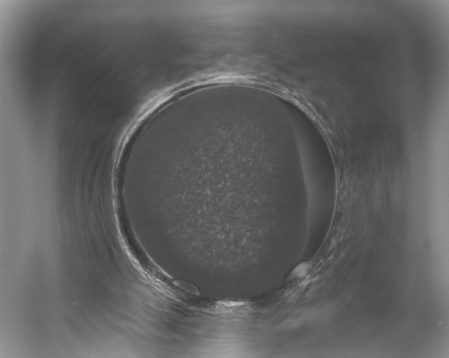 X0000056350055200509161812