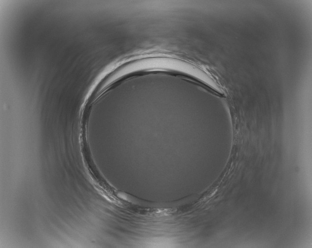 X0000056350056200509161812