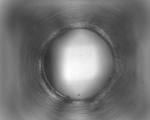 X0000056350057200509161812