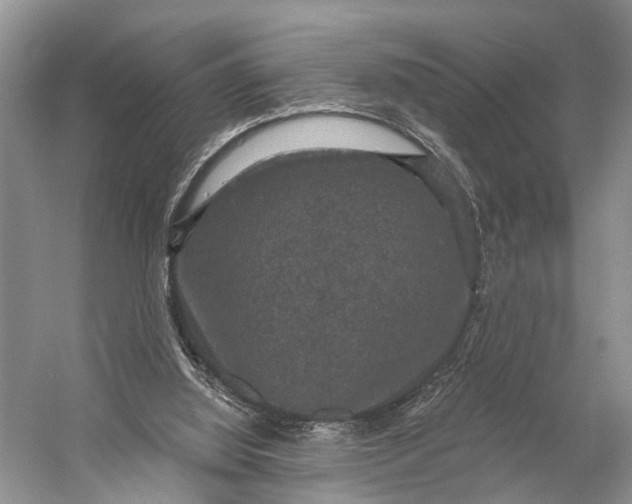 X0000056350060200509161813