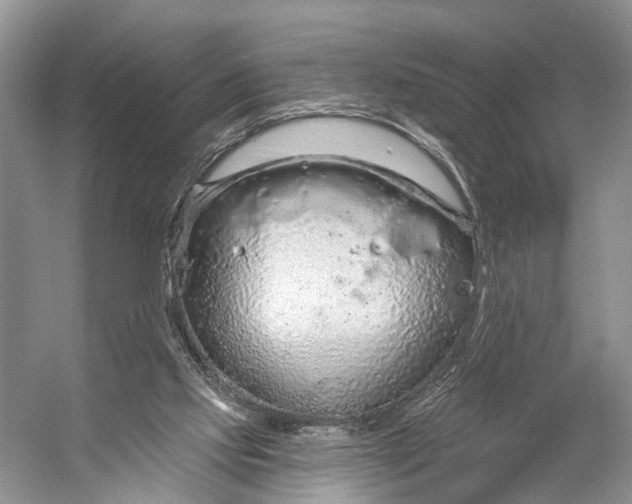 X0000056350061200509161813