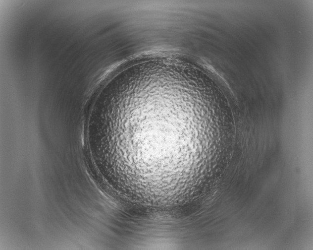 X0000056350062200509161813