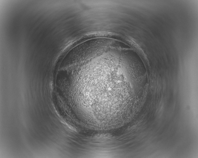 X0000056350063200509161813