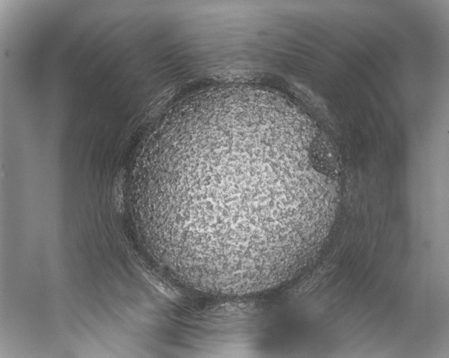 X0000056350065200509161813