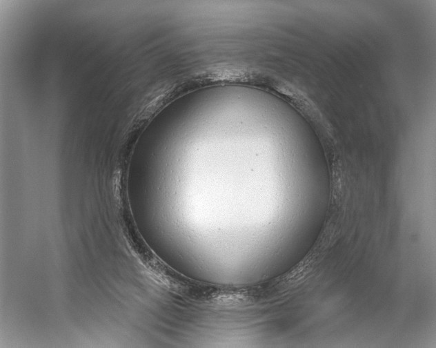 X0000056350066200509161813