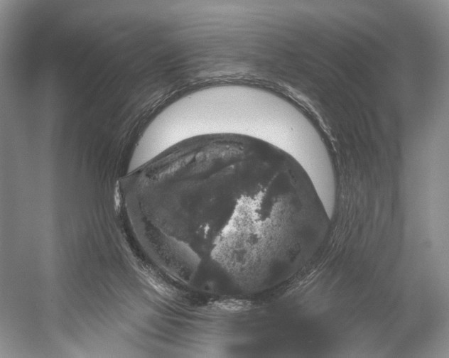 X0000056350069200509161813