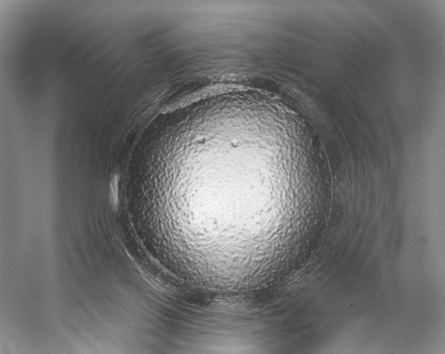 X0000056350070200509161813