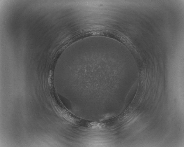 X0000056350073200509161813