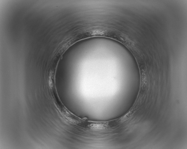 X0000056350074200509161813