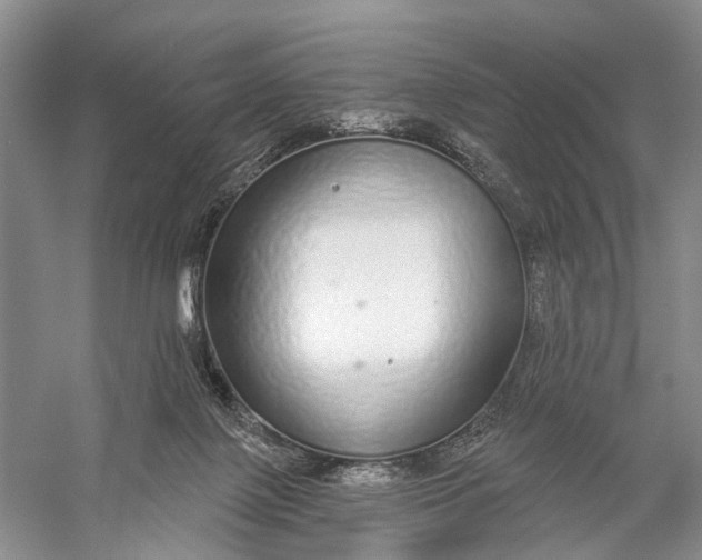 X0000056350075200509161813