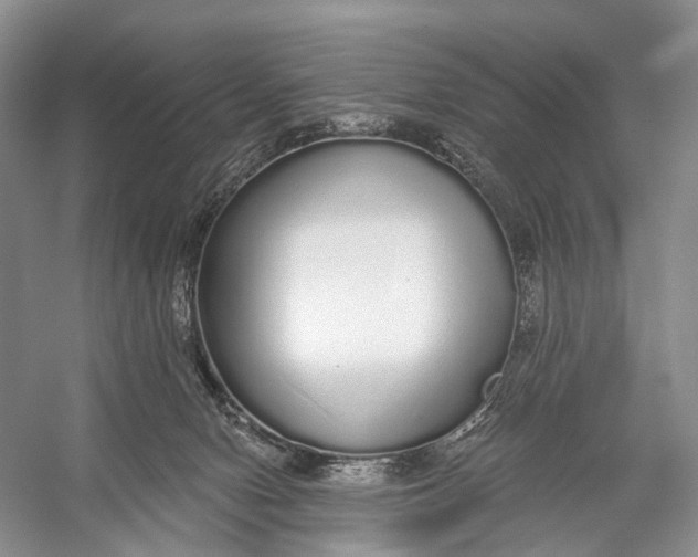 X0000056350078200509161813