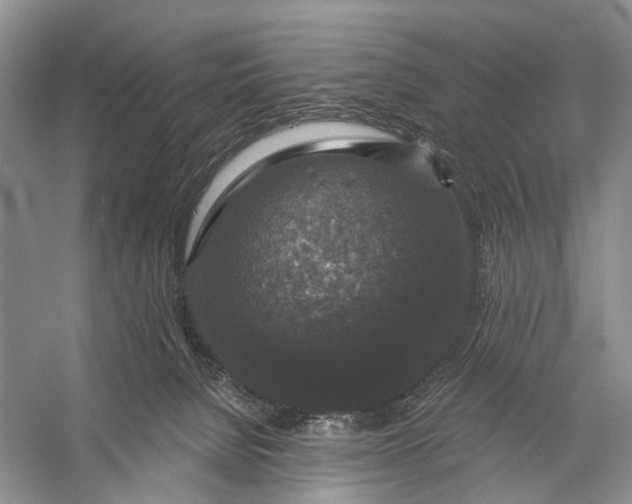 X0000056350080200509161813