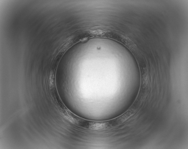 X0000056350081200509161813